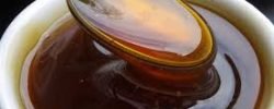 O Ouro Líquido: Por que o mel de Abelha Sem Ferrão é tão especial?